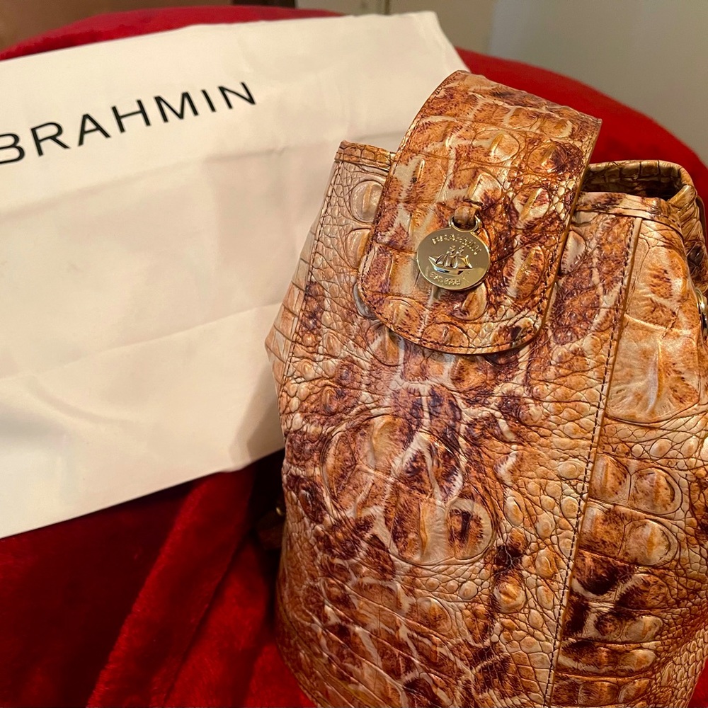 Brahmin Allie